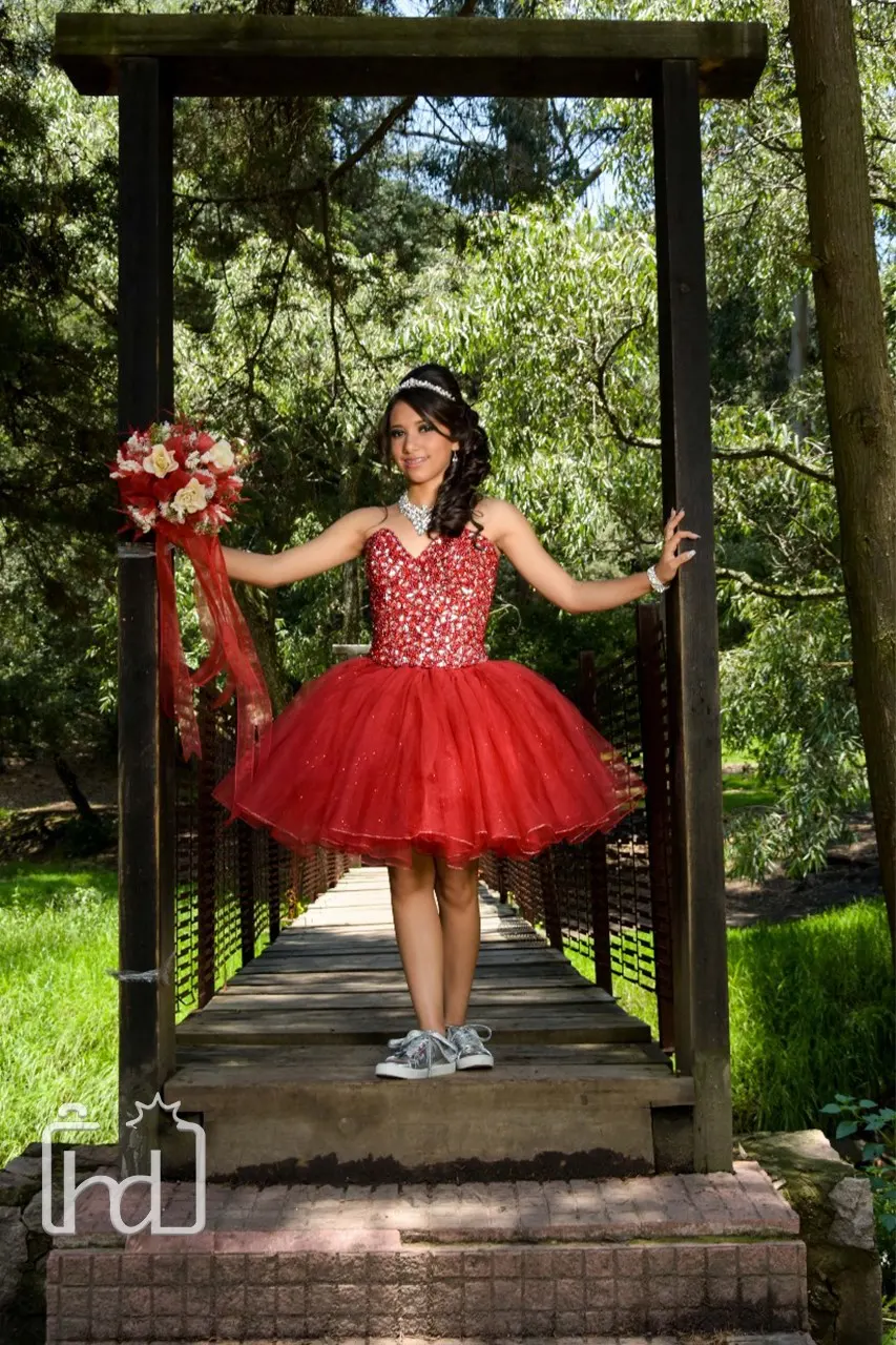XV años fotografía 2